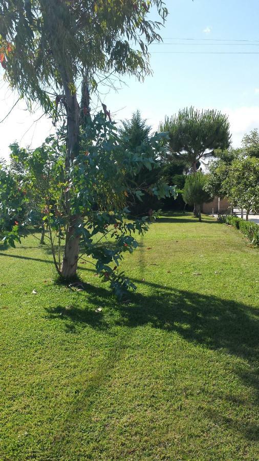 La Macchia Vila Botrugno Exterior foto
